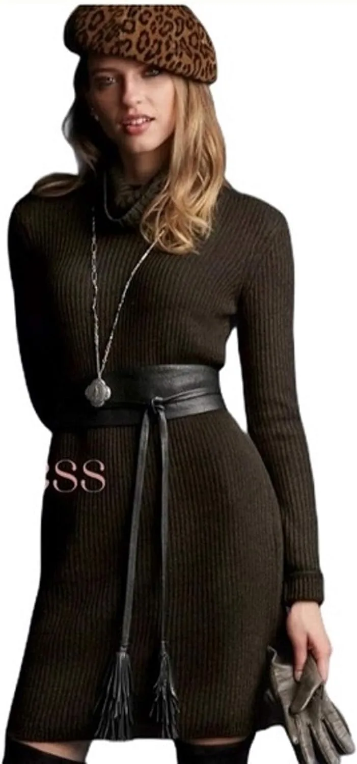 Cabi Sweater Dress