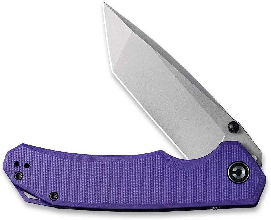 CIVIVI Brazen Folding Pocket Knife,3.5-Inch Tanto D2 Plain Blade,G-10 Outdoor Camping Hiking Knife with Thumb Studs and Flipper opener,Unique Tool Gift for EDC Men Women C2023A (Purple)