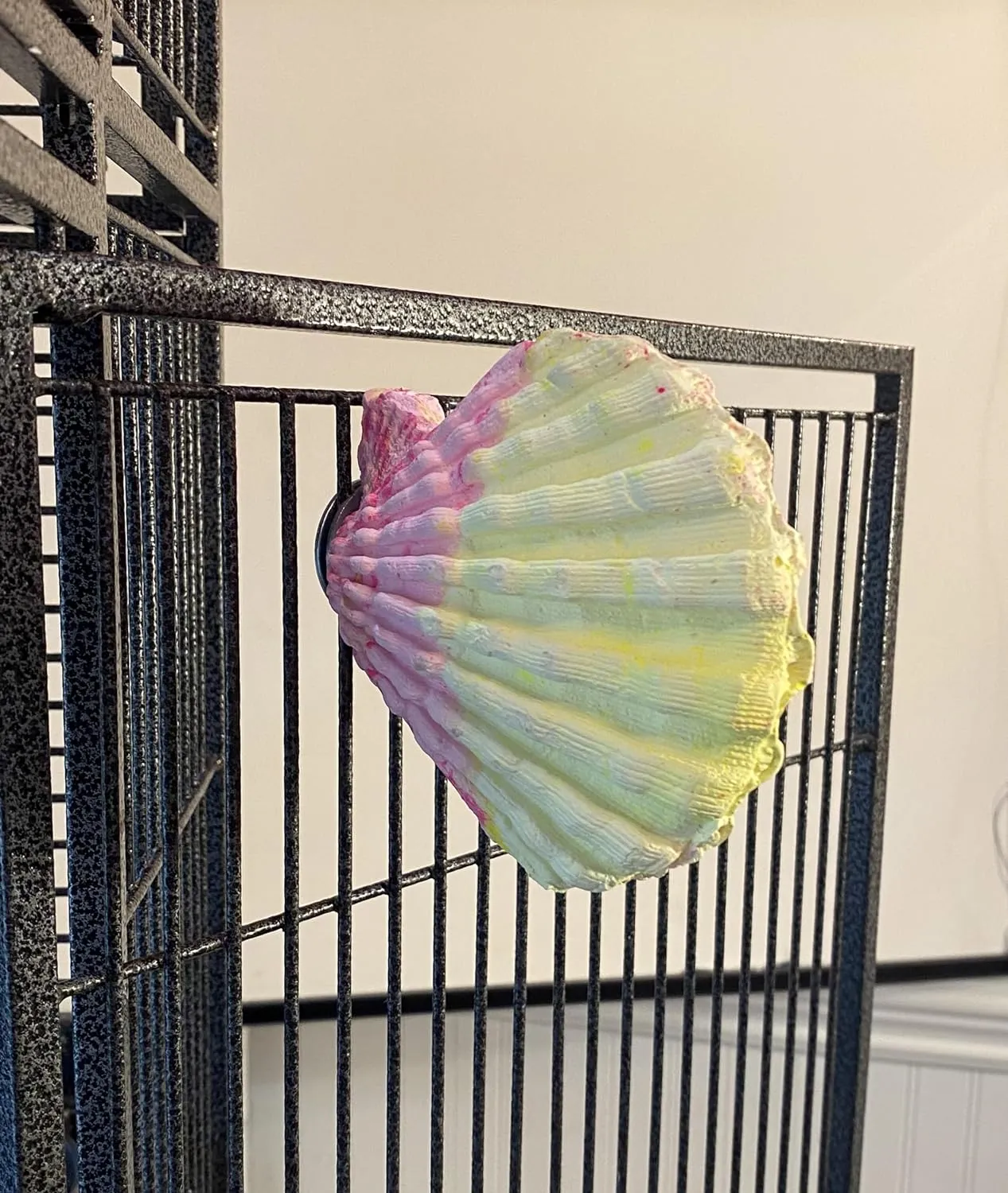 Comfy Clam - Small