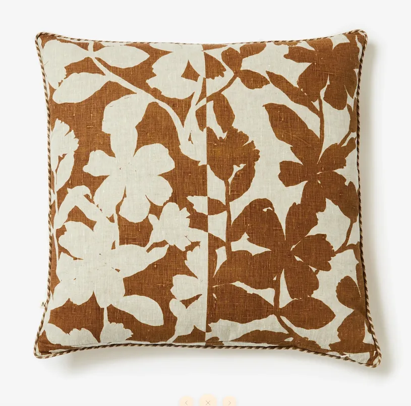 Geranium Cocoa 60cm
