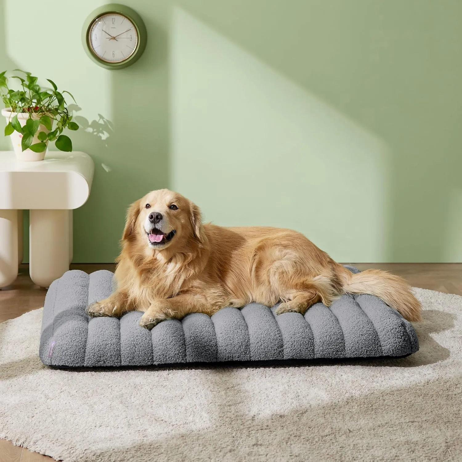 Lesure Cute Orthopedic Dog Bed for Extra Large Dogs, XL Waterproof Chic Flat Pet Beds with Removable Washable Cover, Fuzzy Thick Egg Crate Foam Pet Mat for Indoor Use (44" x 32", Grey)