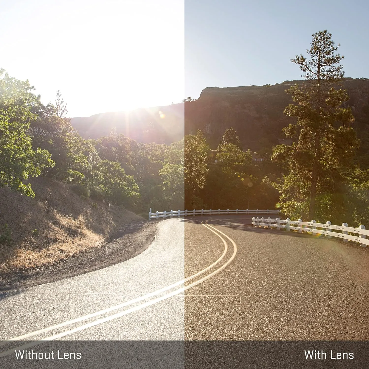 Revant Replacement Lenses for Wiley X Sleek