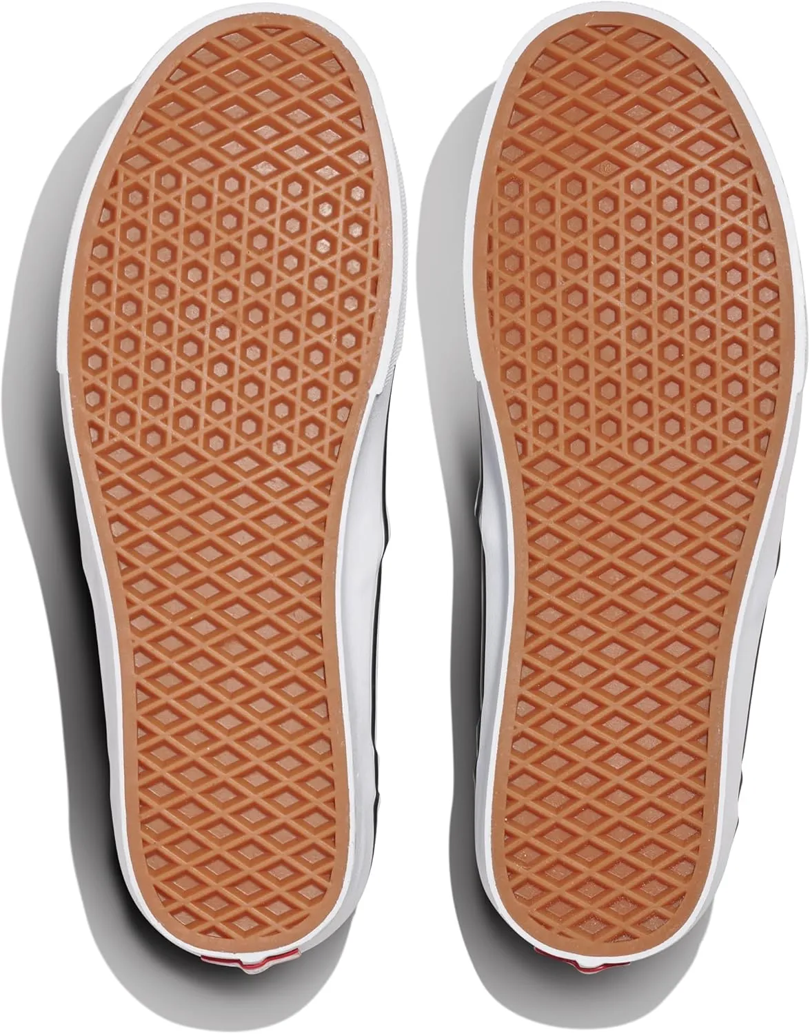 Vans Men's Asher Slip-On Shoe